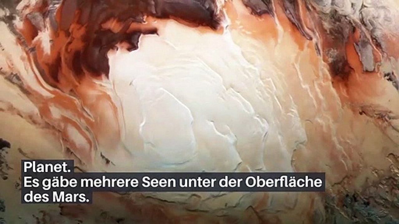 Nachrichten_ der_ Woche