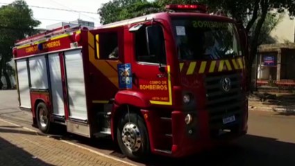 Bombeiros são chamados para capturar porco-espinho no Bairro Claudete
