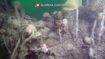 Golfo di Trieste - Guardia Costiera recupera una tonnellata di reti fantasma (26.09.20)