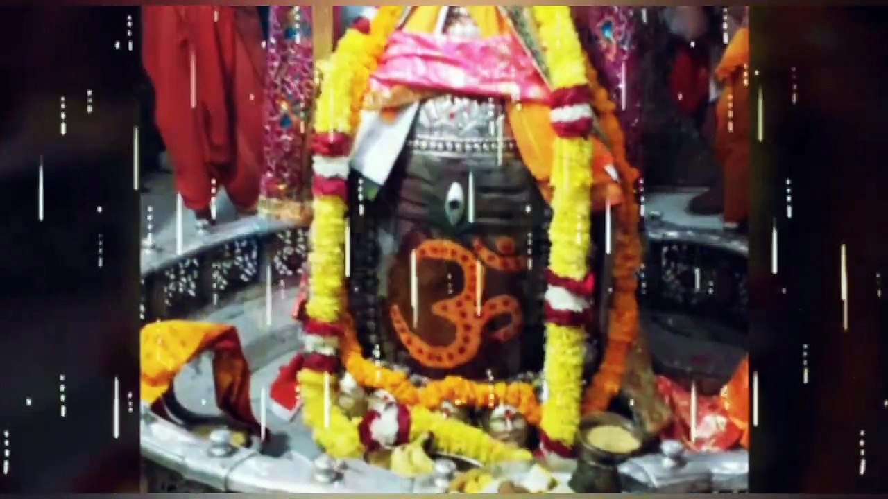 क्या घर के अंदर शुभता,शांति,तरक्की या वस्तु दोष को दूर करने केलिए वांस या bamboo रखना शुभ या अशुभ|