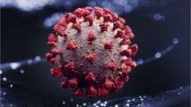 Coronavirus Deaths Tops 1 Million