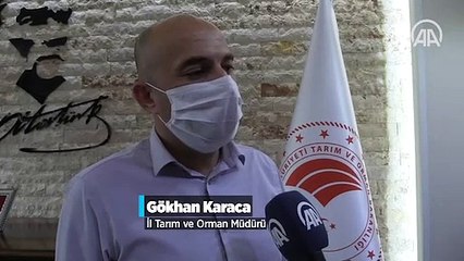 Sanal tarım eğitim programı 'Köy Kahvesi' ülke sınırlarını aştı