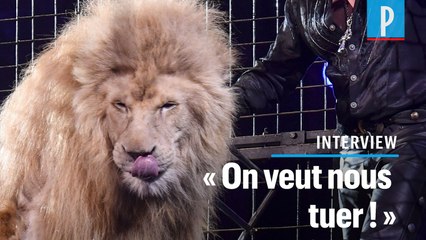Fin des animaux sauvages dans les cirques ambulants  : « C'est le coup de grâce »