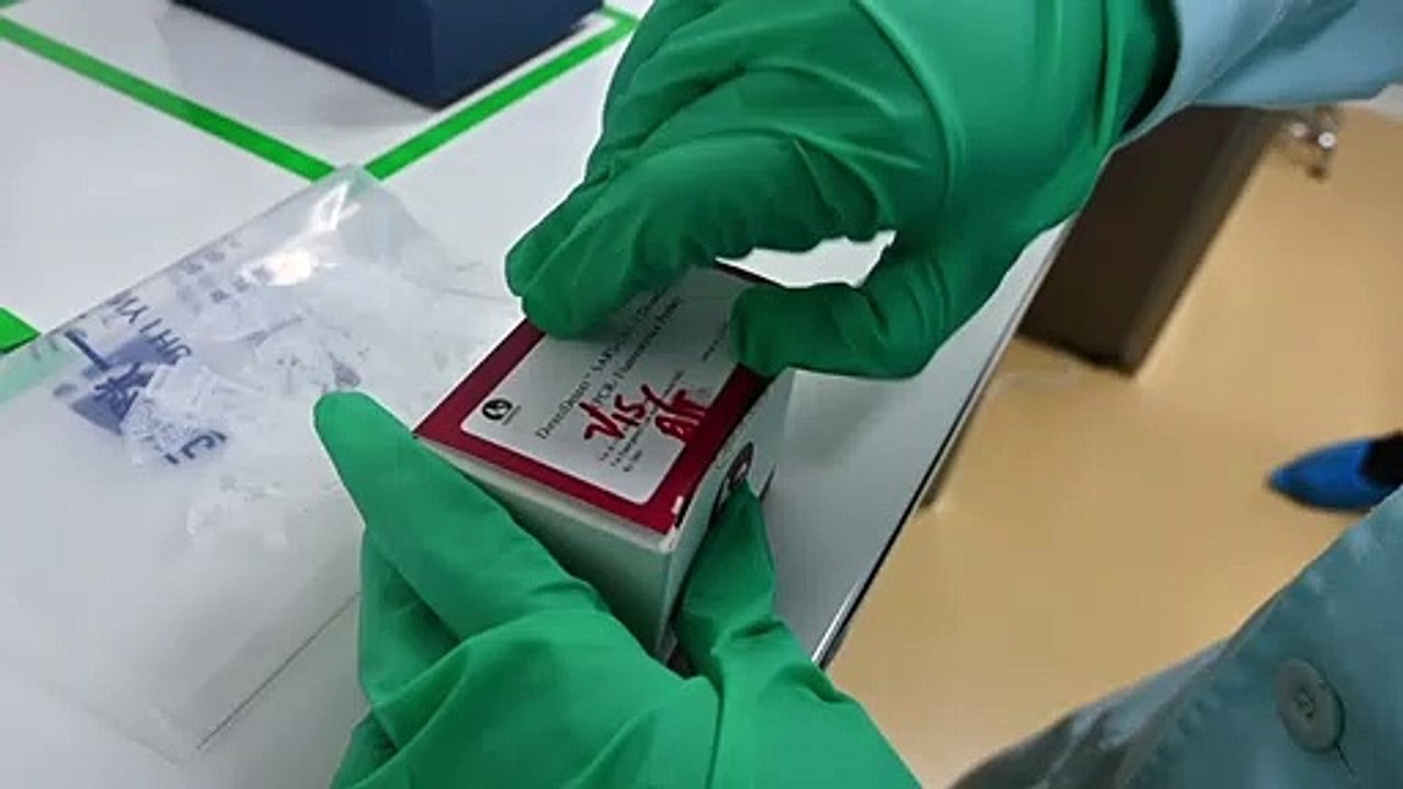 Testes PCR em 30 minutos
