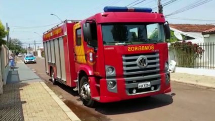 Lagarto é capturado pelo Corpo de Bombeiros no Bairro Parque Verde