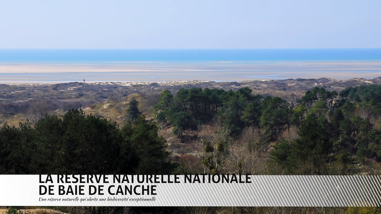 01_BAIE_DE_CANCHE_SRT