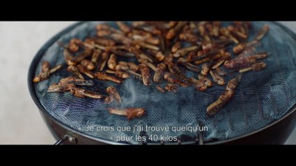 EXCLU - Découvrez la Bande Annonce de "La nuée", le premier film de Just Philippot