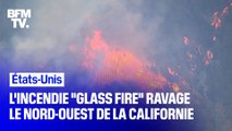 Californie: les vignobles de la Napa Valley détruits par l'incendie 
