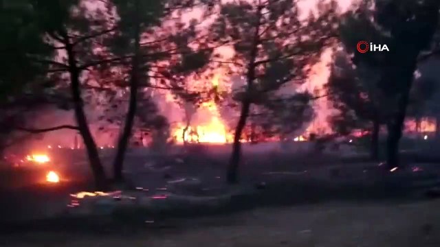 Vali Karadeniz yangın bölgesini helikopterden inceledi