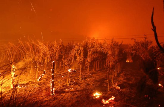 New Wildfires in California Wine Country Cause Thousands of Evacuations, Damage Iconic Nap
