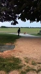 Owner Stops Meeting Between Squirrel and Retriever