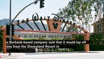 Disney to lay off 28,000 workers at domestic theme parks