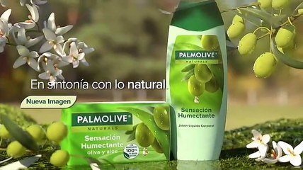 Comerciales Cartoon Network Latinoamérica México 4 de Septiembre 2020 (1/3)