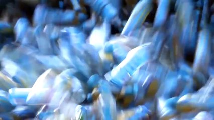 映画『プラスチックの海』