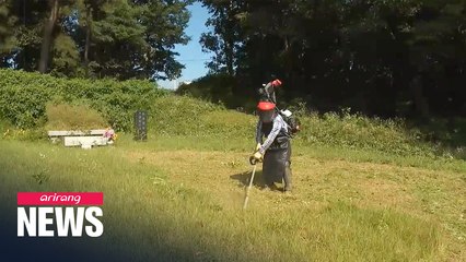 More S. Koreans hiring grass cutting services at ancestral graves due to COVID-19