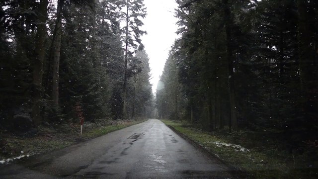 Snow Slowly Falling Down