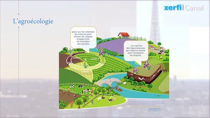 Les performances économiques et environnementales de l'agroécologie [Julien Fosse]
