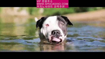 온라인바카라｜www.midascasino.site卂안전카지노★☆ https:spdvv.food.blog★☆갤럭시호텔카지노 | 갤럭시카지노 | 겔럭시카지노✅PC바카라 - ( ↔【www.spdcasino.com 】↔) -먹튀검색기 슈퍼카지노 마이다스온라인바카라｜www.midascasino.site卂