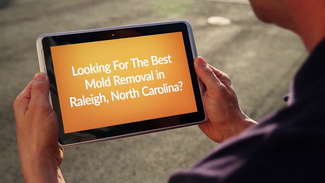 Best Mold Removal in Raleigh North Carolina