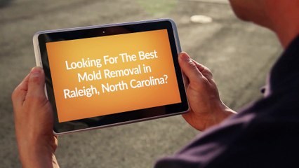 Best Mold Removal in Raleigh North Carolina