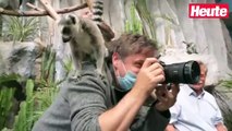 Im Haus des Meeres kannst du jetzt Lemure füttern