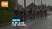 La Flèche Wallonne Femmes 2020 : Le Peloton / The Peloton