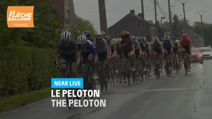 La Flèche Wallonne Femmes 2020 : Le Peloton / The Peloton