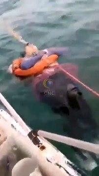 شاهد: بعد اختفائها منذ عامين العثور على سيدة تطفو على سطح البحر