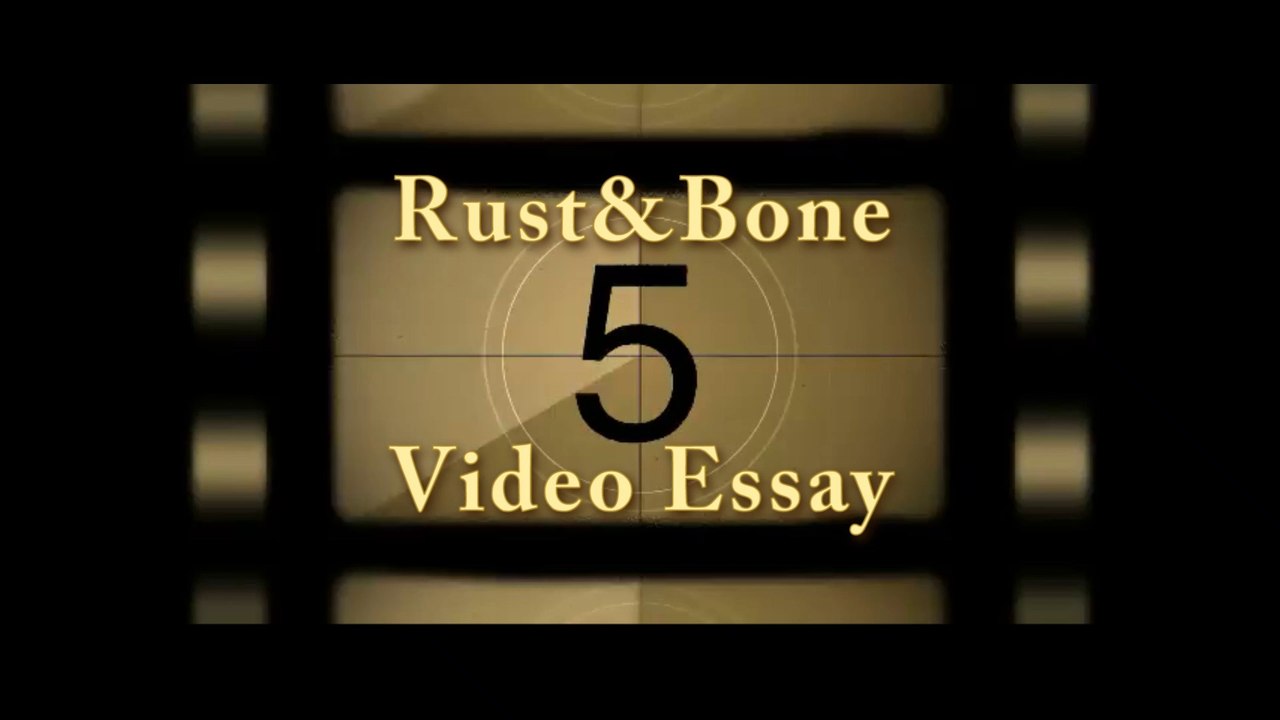Rust & Bone video essay