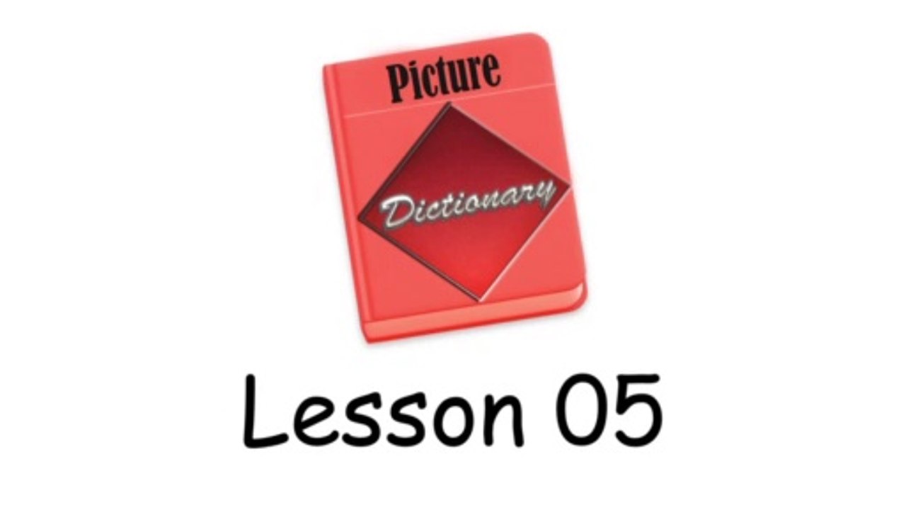 Picture Dictionary - Lesson 05