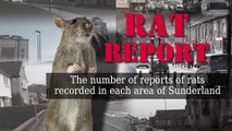 Rat Report: How many reports of rats were recorded in each area of Sunderland