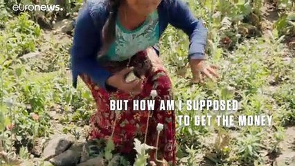 El reportaje 'Sangre en el Muro' lleva la voz de los migrantes centroamericanos en su viaje al norte