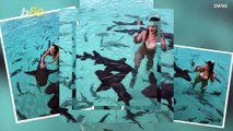 Watch This Stunning Footage of a Women Posing in the Water With a Scary Amount of Sharks