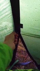 Ce campeur ouvre sa tente et regardez ce qu'il découvre