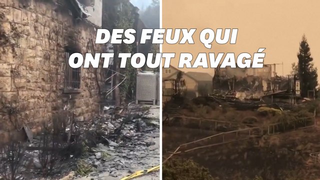 Après les incendies dans les célèbres vignobles de Napa Valley, les images de désolation