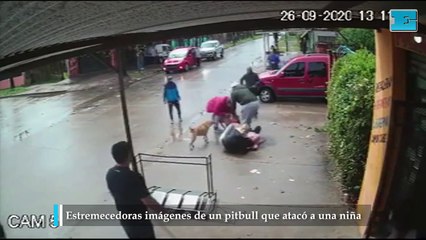 Estremecedoras imágenes de un pitbull que atacó a una niña