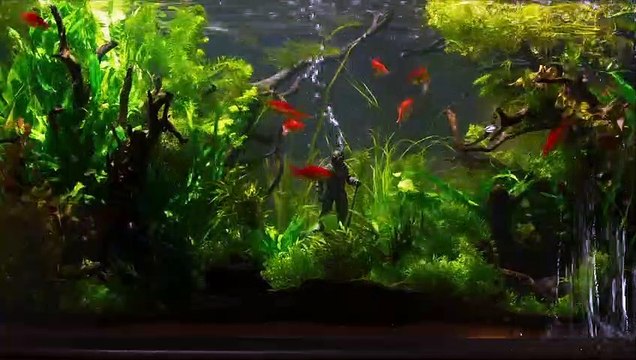 Ondine Bande Annonce VOSTFR HD