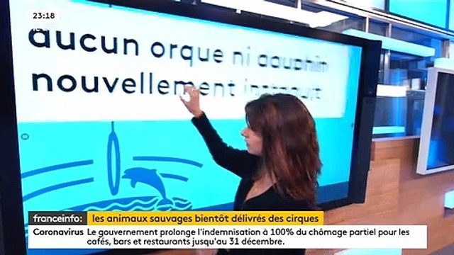 Bien-être animal : Quand franceinfo: confond visons et bisons