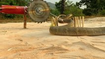 Easy Snake Trap Using Wood Cutting Machine //Infortainment//- Simple DIY Creative Snake Trap That Work 100%