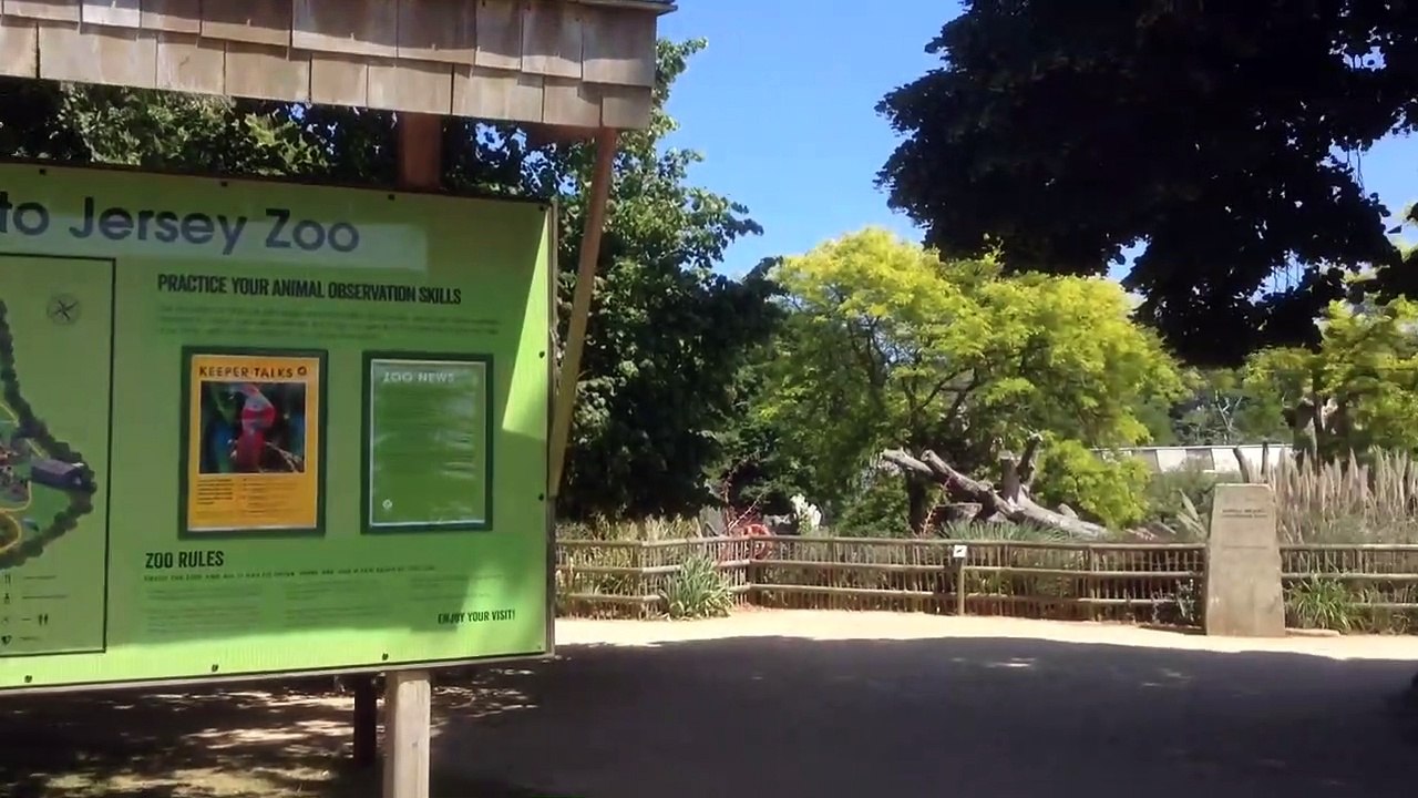 jersey zoo