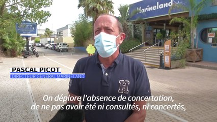 Fin de la reproduction des cétacés en captivité: Marineland proteste