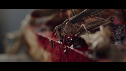 La Nuée - Bande-annonce du film fantastique