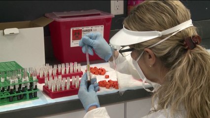 L’Institut Pasteur de Lille : un traitement contre le Covid-19 envisageable ?