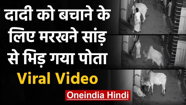 Viral Video: दादी को बचाने के लिए आवारा सांड से भिड़ गया ये बहादुर बच्चा । वनइंडिया हिंदी