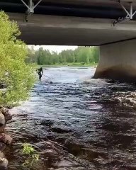 Stand up paddle avec un tronc d'arbre