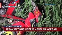 Lagi, Jebakan Tikus Listrik Menelan Korban, Polisi Tangkap Pelaku