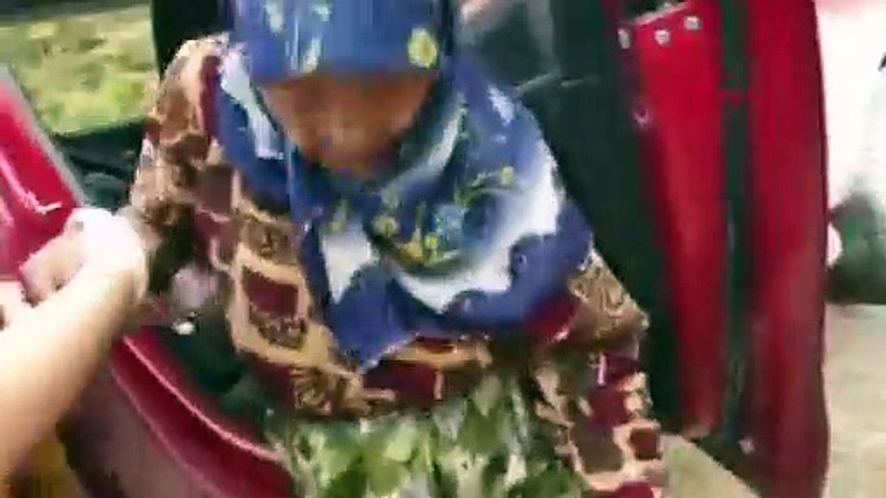 Bilecik'te yaban domuzu saldırısı