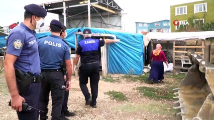 Zabıtadan nefes kesen başıboş at operasyonu