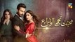 Mohabbat Tujhe Alvida Episode 17 Promo HUM TV Drama