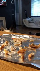 Doggy Smells Delicious Chicken